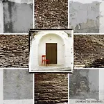 Trullidea